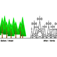 Účinky základňovej stanice na výnos kvetov a šišiek a percento klíčivosti v Pinus brutia