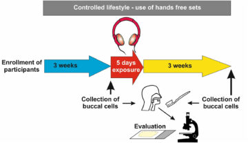 bucal_cells>