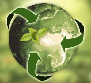 eco>