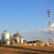 Znížená plodnosť a zvýšený počet vrodených chýb kvôli rádiovému žiareniu